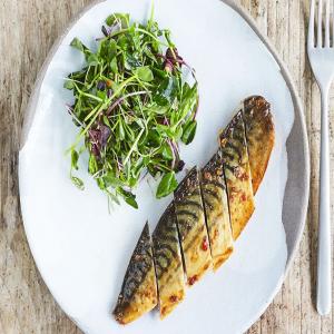 Grilled mackerel fillets_image