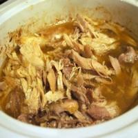 Crock Pot Turkey Recipe_image