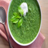 Celery-Parsley Soup_image