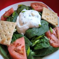 Nyte's Low-Fat Salad/Potato Salad Dressing_image
