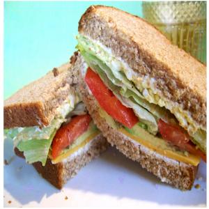 Mother Nature's Healthy Sandwich_image