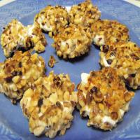 Hazelnut-Crusted Goat Cheese Nibblers_image