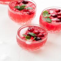 Sparkling Cranberry Vodka Punch_image