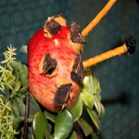 Ladybug Apples image