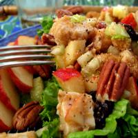 Apple Walnut Chicken Salad image
