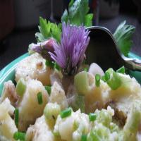 Potato Salad With Celery and Scallions_image