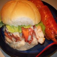 Maine Lobster Roll image