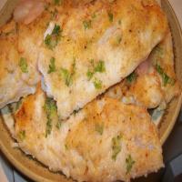 Oven Baked Fish Fillets With Parmesan Cheese image