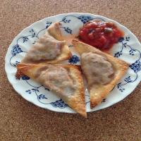 Mexican Pot Stickers_image