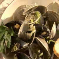 Steamers_image