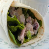 Cool Turkey Salad (For Pita or Sandwich)_image