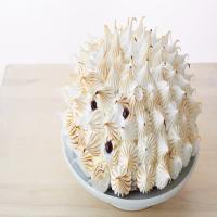 Hedgehog Cake image