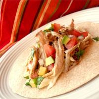 Andy's Spicy Green Chile Pork image