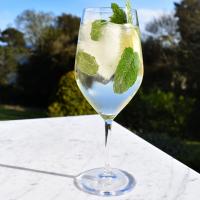 Hugo cocktail image