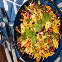 Shredded Chicken Salad with Cabbage, Bell Pepper and Cilantro image