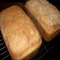 Sprouted Wheat Berry Bread image