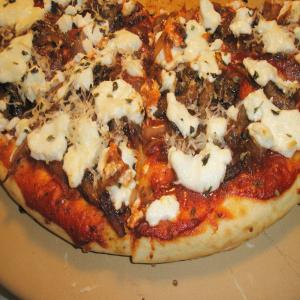 Caramelized Onion and Goat Cheese Pizza image