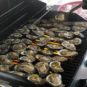Charbroiled Oysters from Dragos_image