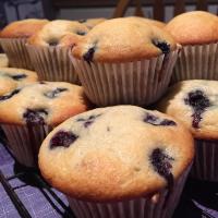 Alienated Blueberry Muffins_image
