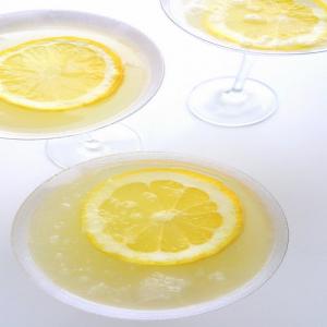 The Most Refreshing Lemon Drop Martini_image