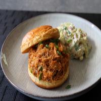Pulled Chicken Sloppy Joes (Sloppy Chickens) image