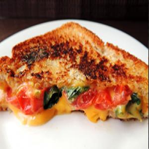 Grilled Cheese with Tomato and Basil_image
