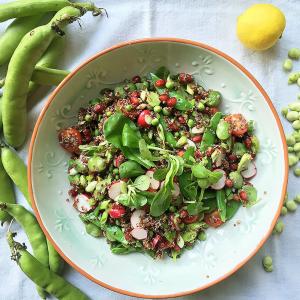Summer Salad With Broad Beans, Sweet Pomegranate & Quinoa_image