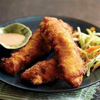 Cajun Corn Meal Breaded Chicken and Fish_image