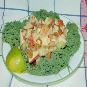 East Indian Apple/Chutney Salad_image