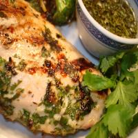 Grilled Chicken With Coriander/Cilantro Sauce_image