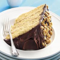 Peanut Butter Silk Cake Recipe - (4.5/5) image