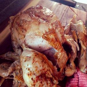 Fall off the Bone Instant Pot Chicken_image