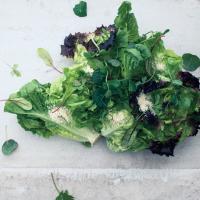 Lettuce Hearts with Shaved Hazelnuts_image