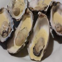 Australian Oysters in Champagne Sauce image