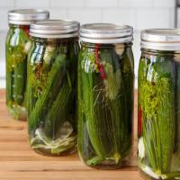 Fermented Dill Pickles image