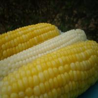 Corn on the Cob; Stays Hot and Fresh_image