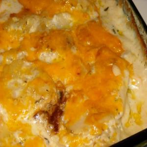 Cheddar Scalloped Russet Potatoes_image