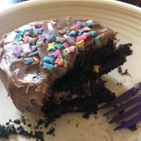 Linda Sue's Chocolate Cake (Vegan) image