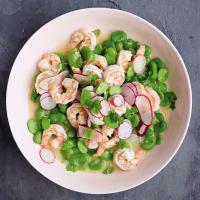 Shrimp And Fava Beans image