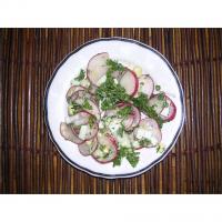 Radish Salad With Parsley & Chopped Eggs_image