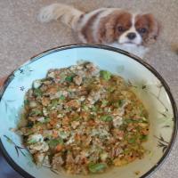 Grain-Free Homemade Dog Food_image