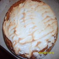 Cantaloupe Pie Ala Texas and Pacific_image