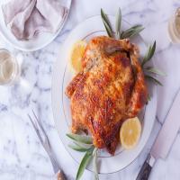 Delicious Roast Chicken (Or Turkey, Cornish Hens, Etc.)_image