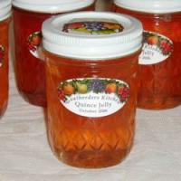 Quince Jelly image