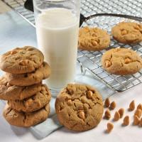 Butterscotch Gingerbread Cookies image