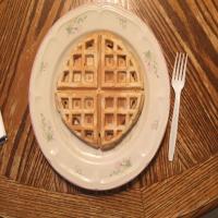 Basic Waffles image