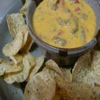 Nanny's Famous Cheese Dip_image