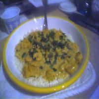 Shrimp in a Light Curry Sauce_image