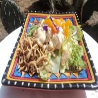 Low Fat Mandarin Chicken Salad_image