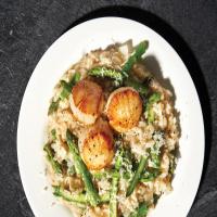 Seared Scallops and Asparagus Risotto_image